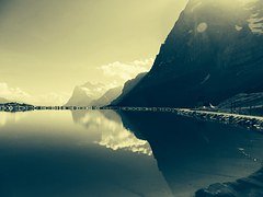 nature-863043__180